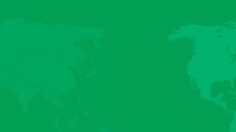 Exploring the Efficacy of ASO Discovery Programs Through Animal Models: A Comprehensive Guide