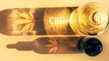 Use of CBD Tincture( Beginner’s Guide)